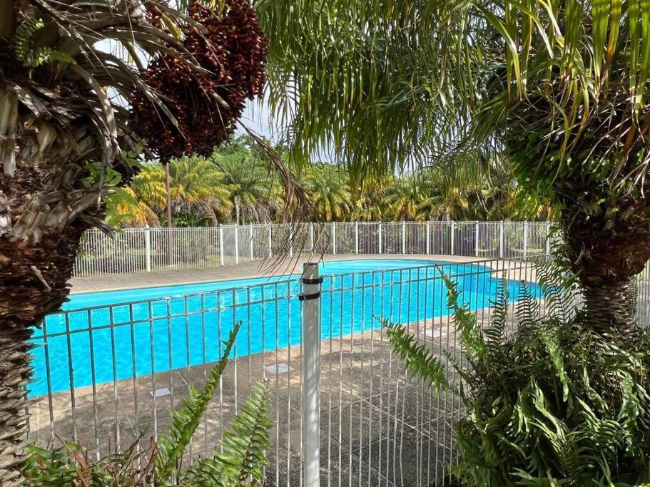 Kanoa Lodge Piscine Et Vue Mer Saint-Claude Esterno foto